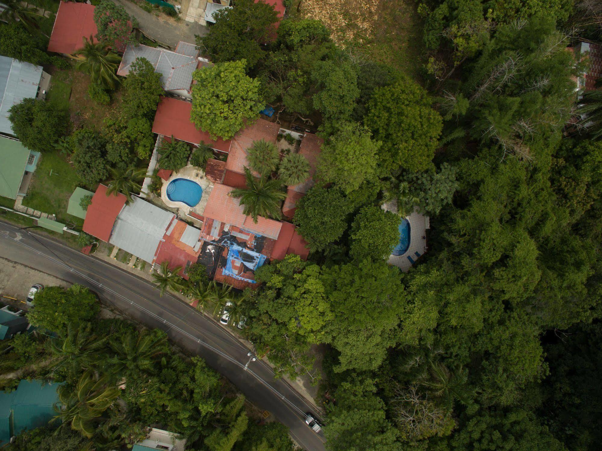 Hotel Mono Azul Quepos Kültér fotó